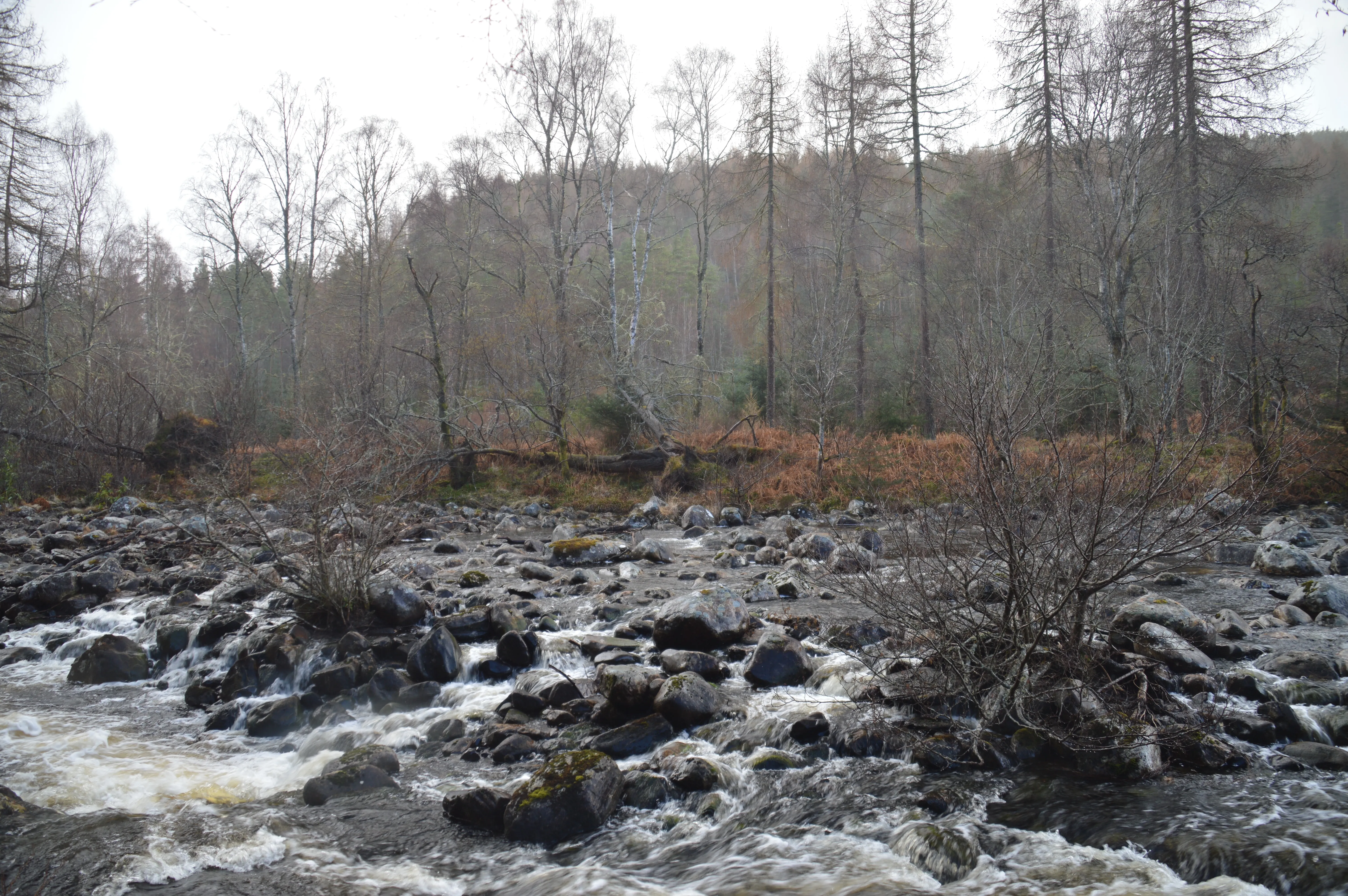 La rivière juste avant la cascade.