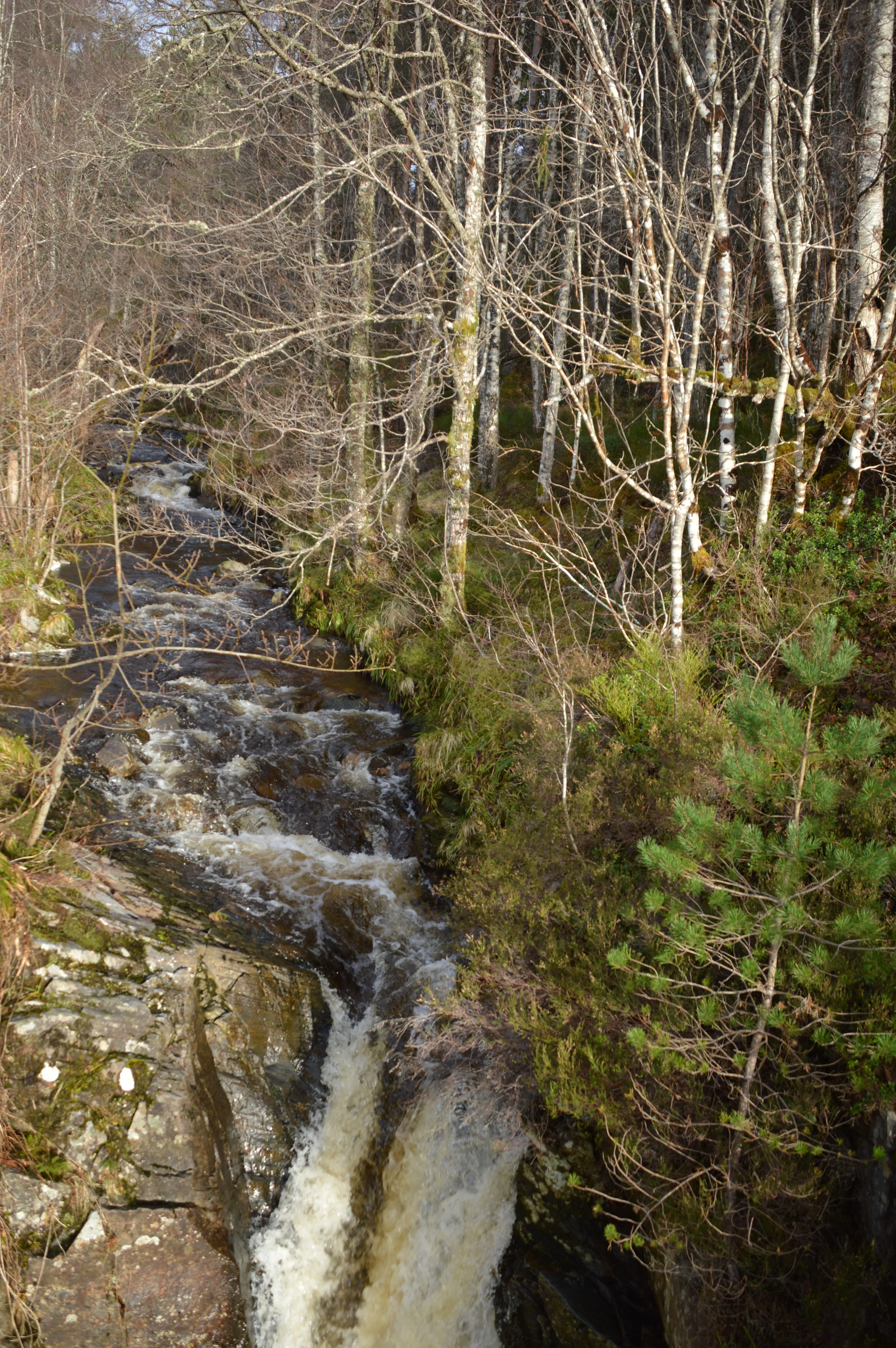 La rivière juste avant les cascades